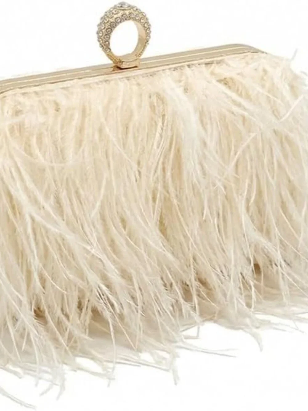 Ostrich Feather Purse